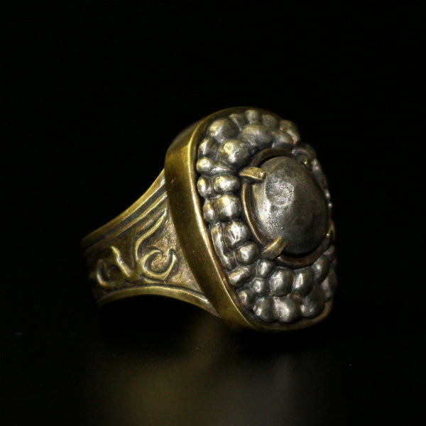 Havel's Ring